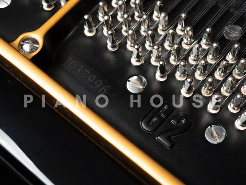 Yamaha G2 Black & Gold Polyester - Ảnh thực tế 8